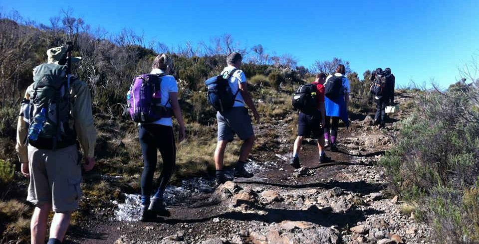 Mount Kenya trekking-on-sirimon-route1